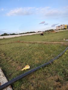 Image of 1000 Sq.ft Residential Plot / Land for sale in Rawatpur, Allahabad for Rs. 3000000