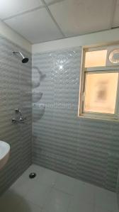 Bathroom Image of 1221 Sq.ft 2.5 BHK Apartment / Flat for rent in Amrapali Verona Heights, Noida Extension Greater Noida for Rs. 19000