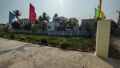 PHP PHASE2 Plot View 3
