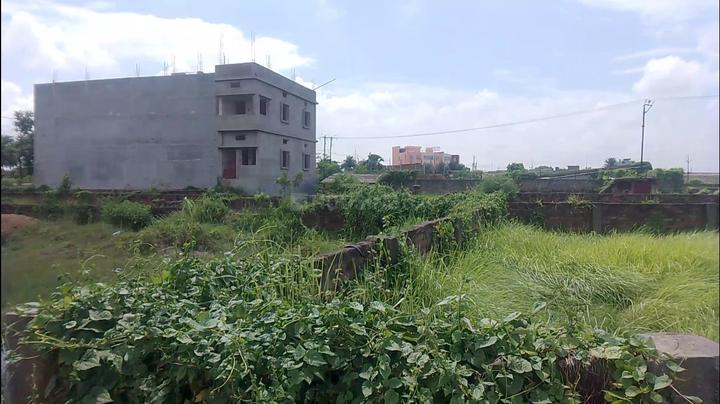 Birla open mind Bhagalpur school Main Image 1