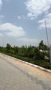 Image of 1000 Sq.ft Residential Plot / Land for sale in Bagru, Jaipur for Rs. 1800000