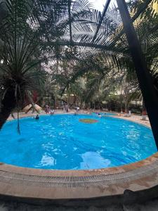 Image of 1006 Sq.ft 2 BHK Apartment / Flat for sale in Mittal Brothers Whistling Palms, Wakad, Pune for Rs. 9500000
