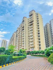 Image of 1450 Sq.ft 3 BHK Apartment / Flat for sale in Terra Heritage, Sector 51, Bhiwadi for Rs. 5000000