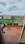 Balcony Image of Not PG its 1BHK FLAT in Wagholi, Pune