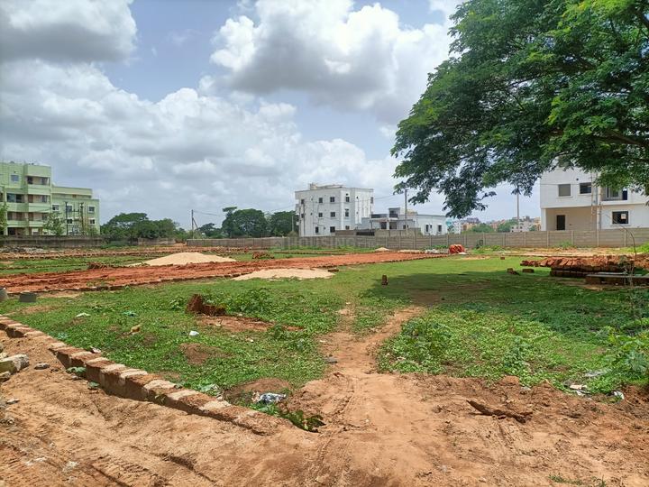 Jharapada Main Image 1