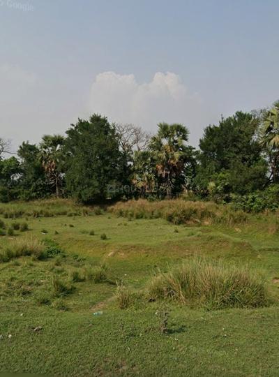 C H Kalla Main Image 1