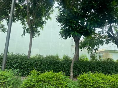 Image of 3150 Sq.ft Residential Plot / Land for sale in DLF Hyde Park Plot, New Chandigarh, Chandigarh for Rs. 62500000