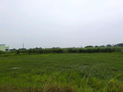 Dream city Plot View 2