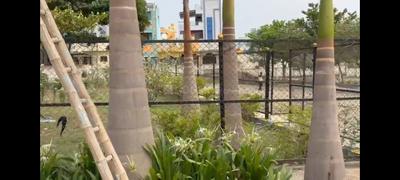 Image of 1200 Sq.ft Residential Plot / Land for sale in Bangarapet, Kolar for Rs. 3360000