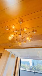 Hall Image of 2700 Sq.ft 4 BHK Builder Floor for sale in Sector 56 Gurgaon for Rs. 29000000