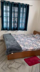 Bedroom Image of 1200 Sq.ft 2 BHK Apartment / Flat for rent in Attavar Mangalore for Rs. 25000