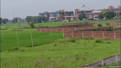 Bihta Plot View 3