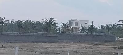 Image of 6600 Sq.ft Residential Plot / Land for sale in Mahabalipuram, Chennai for Rs. 9900000