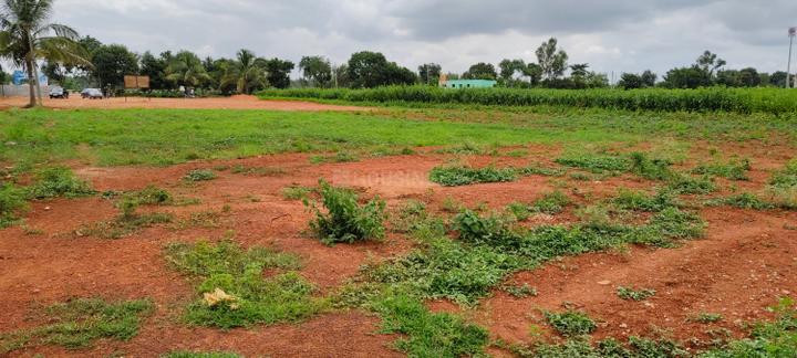 Devanahalli Main Image 1