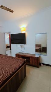Bedroom Image of 1550 Sq.ft 3 BHK Apartment / Flat for rent in Express Garden, Indirapuram Ghaziabad for Rs. 42000