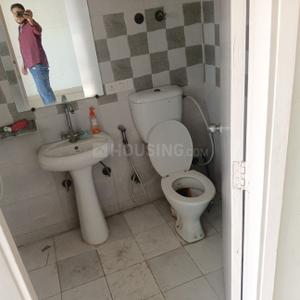 Image of 1075 Sq.ft 2 BHK Apartment / Flat for rent in Gaur City 7th Avenue, Noida Extension, Greater Noida for Rs. 23000