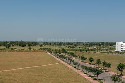 Shangrila Vilage Plot View 2