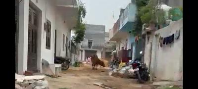 Image of 450 Sq.ft Residential Plot / Land for sale in Maruti Kunj, Gurgaon for Rs. 1100000