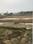 Sushant Lok Phase 3, Sector 57 Main Image 1