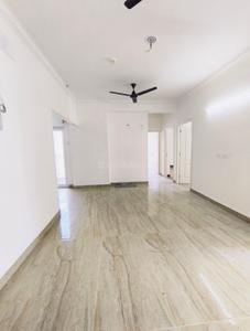 Living Room Image of 1020 Sq.ft 3 BHK Apartment / Flat for rent in Trident Embassy Reso, Noida Extension Greater Noida for Rs. 28000