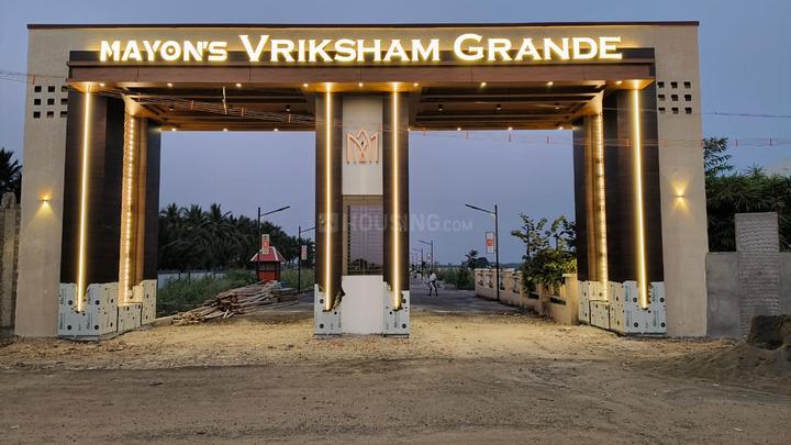 Mayons Vriksham Grande Main Image 1