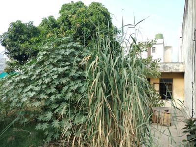 Sector 15 Plot View 2