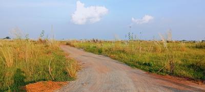 Image of 1200 Sq.ft Residential Plot / Land for sale in Patrapada, Bhubaneswar for Rs. 3602400