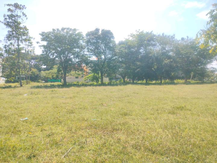Nandanavana layout Plot View 1
