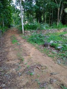 Image of 10000 Sq.ft Residential Plot / Land for sale in Kanakkary, Kottayam for Rs. 5600000