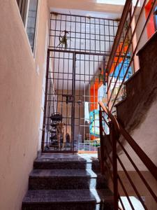 Balcony Image of 3900 Sq.ft 3 BHK Independent House for sale in Mahadevapura Bengaluru for Rs. 35000000