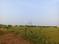 Patrapoda Plot View 2