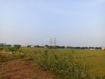 Patrapoda Plot View 2