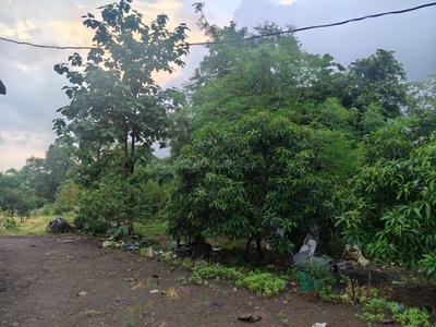Image of 32670 Sq.ft Residential Plot / Land for sale in Murbad, Thane for Rs. 4950000