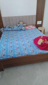 Bedroom Image of One room with ac in Bedla, Udaipur