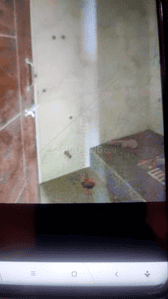Bathroom Image of 565 Sq.ft 1 BHK Apartment / Flat for rent in Kalyan East Kalyan for Rs. 10500