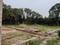 Manak Nagar, Alambagh Plot View 2