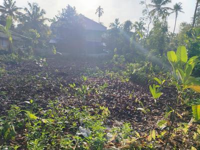 Image of 1000 Sq.ft Residential Plot / Land for sale in Puthukkad, Thrissur for Rs. 180000