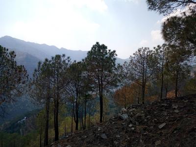 Beolia Plot View 2