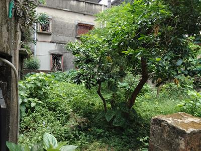 Image of 2550 Sq.ft 7 BHK Independent House for sale in Purba Barisha, Kolkata for Rs. 23500000