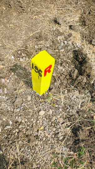 CSK Green Villas Main Image 1