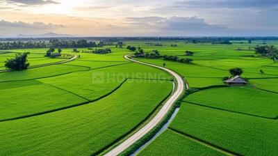 Image of 5808 Sq.ft Residential Plot / Land for sale in Sachana, Ahmedabad for Rs. 19500000