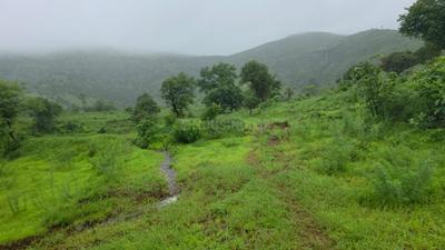 Image of 11000 Sq.ft Residential Plot / Land for sale in Bhor, Pune for Rs. 2100000