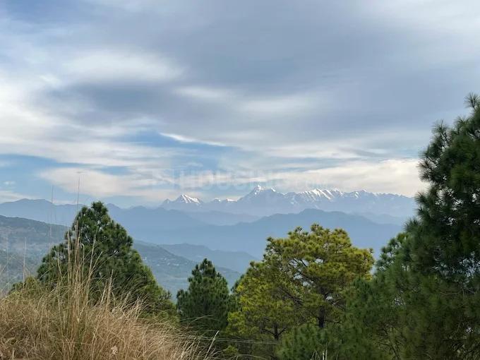 Almora Range Main Image 1