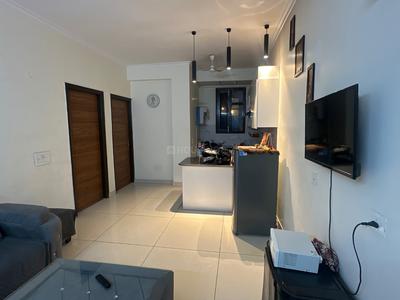 Hall Image of Gillco palms in Sector 115, Mohali