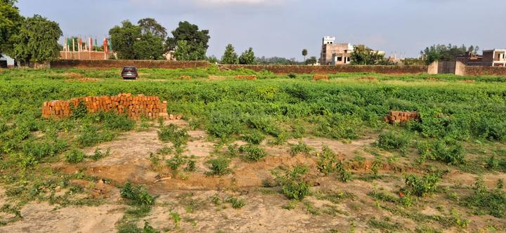 Nijampur Malhaur Main Image 1