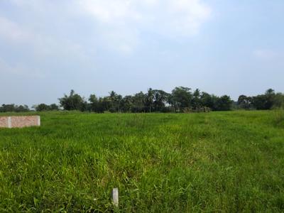 Image of 1440 Sq.ft Residential Plot / Land for sale in Nest Valley, Joka, Kolkata for Rs. 333552