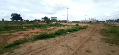 Residential Plot
