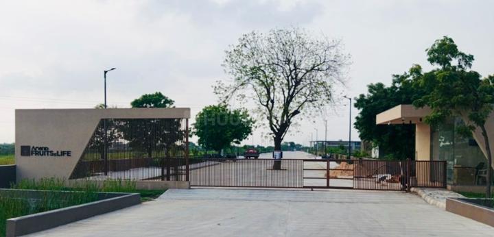 Arvind Fruits of Life Main Image 1