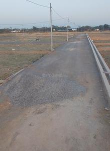 Koshta Plot View 3