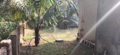 Image of 550 Sq.ft 1 R Independent House for rent in Siolim, Goa for Rs. 17000